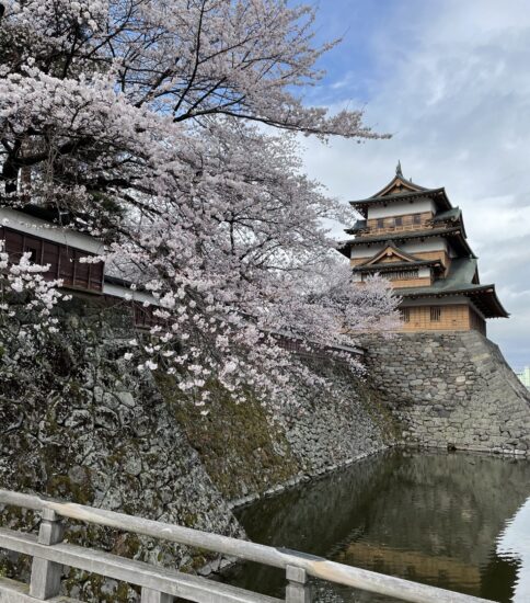 令和３年の「桜」