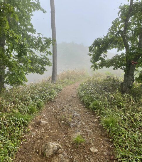 雨の守屋山・東峰