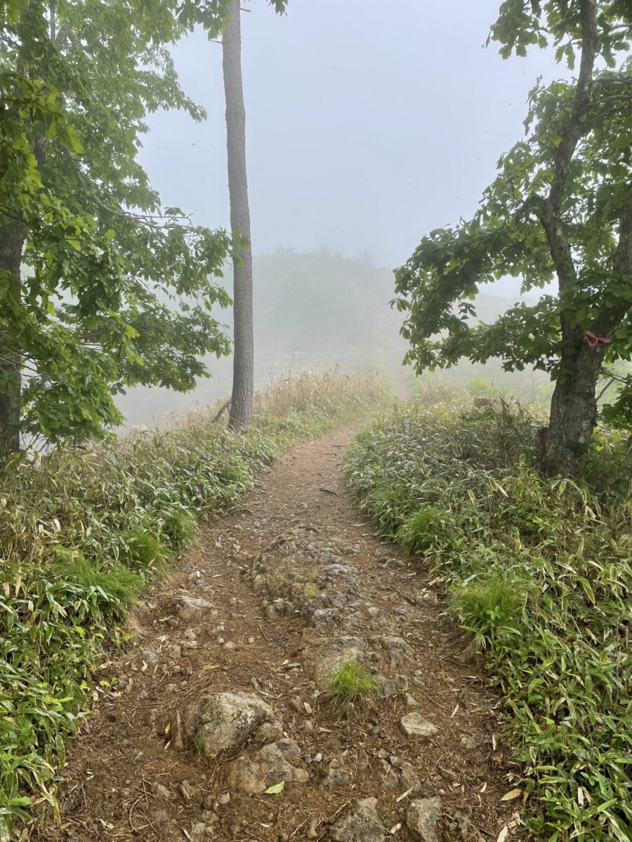 雨の守屋山・東峰