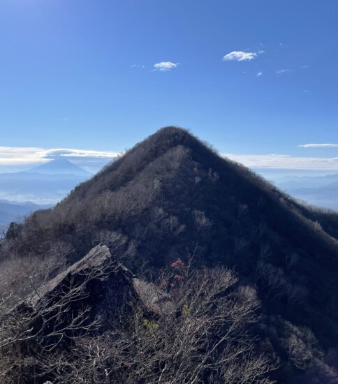 晩秋の茅ヶ岳