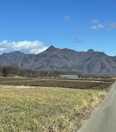 初冬の天狗山・男山