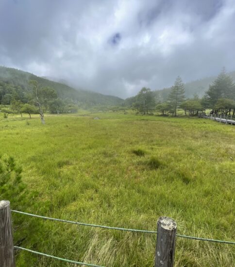 リハビリで雨上がりの入笠山から大阿原湿原