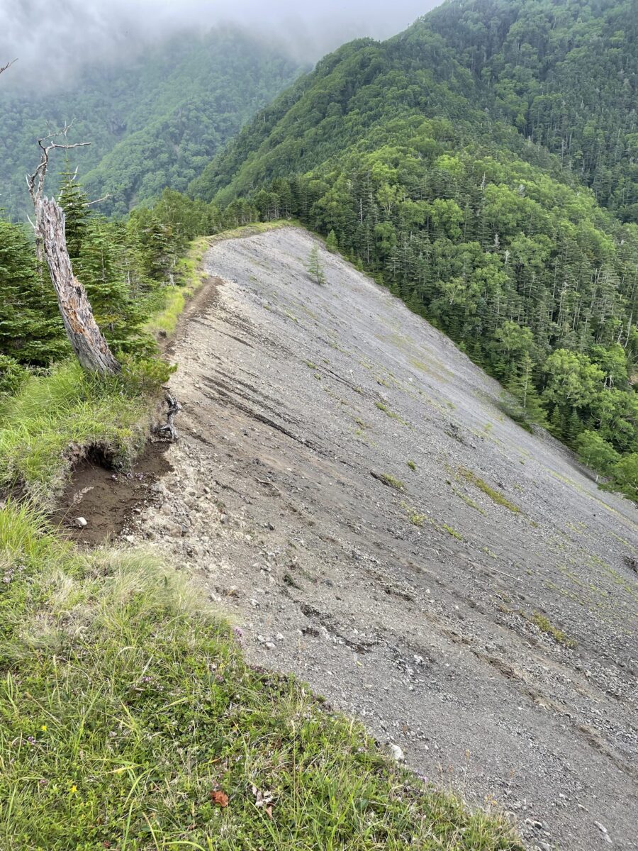 立場岳・青ナギ（八ヶ岳全山ドローン計画）