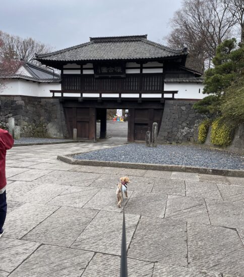 小諸散策…曇天→雨天
