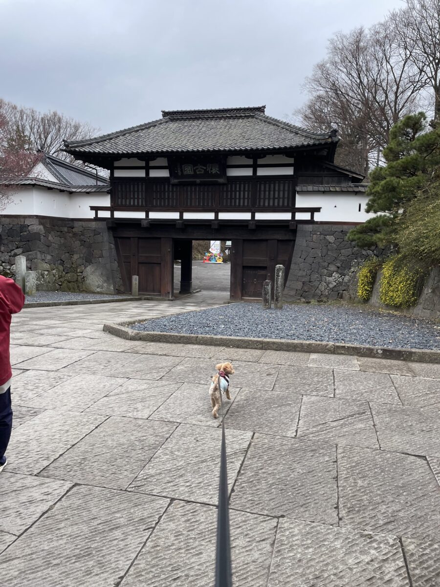 小諸散策…曇天→雨天