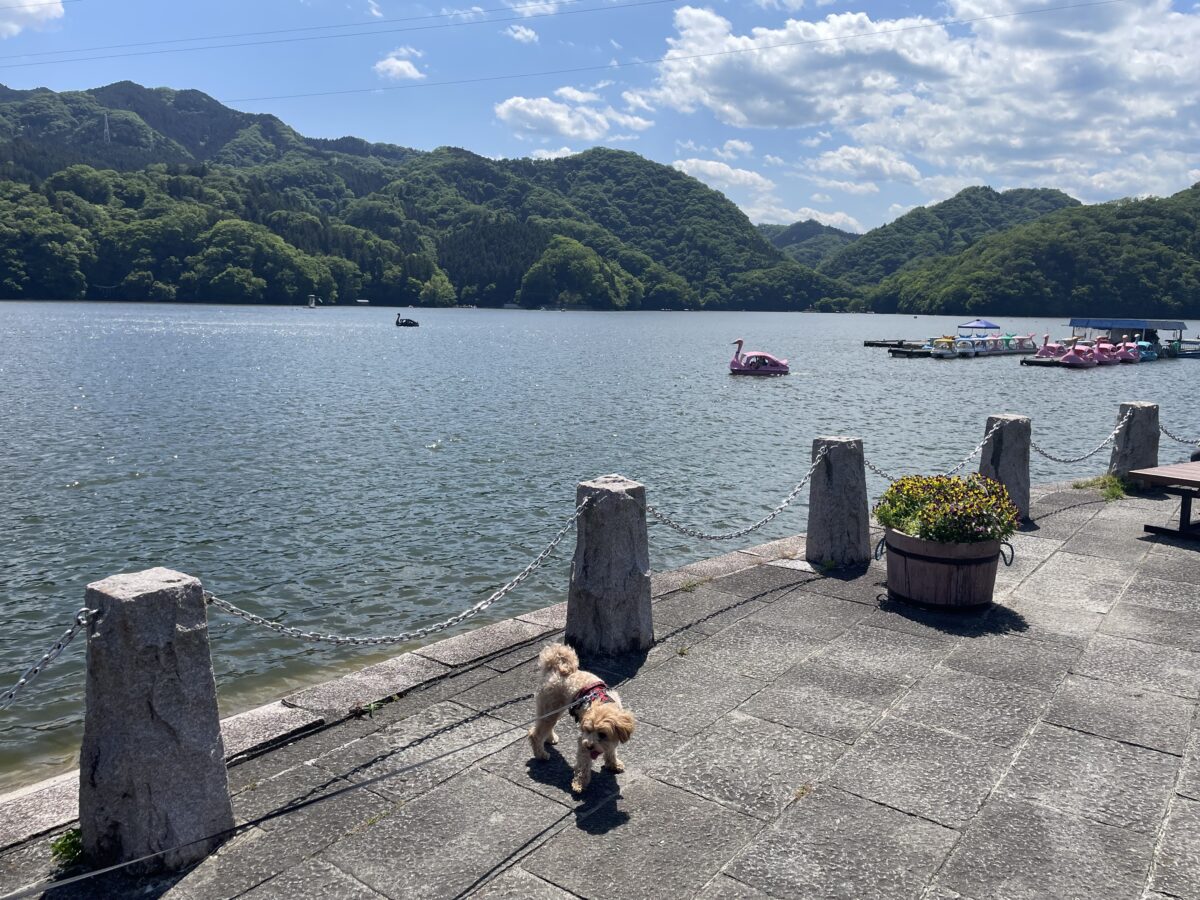 相模湖立ち寄り