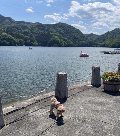 相模湖立ち寄り
