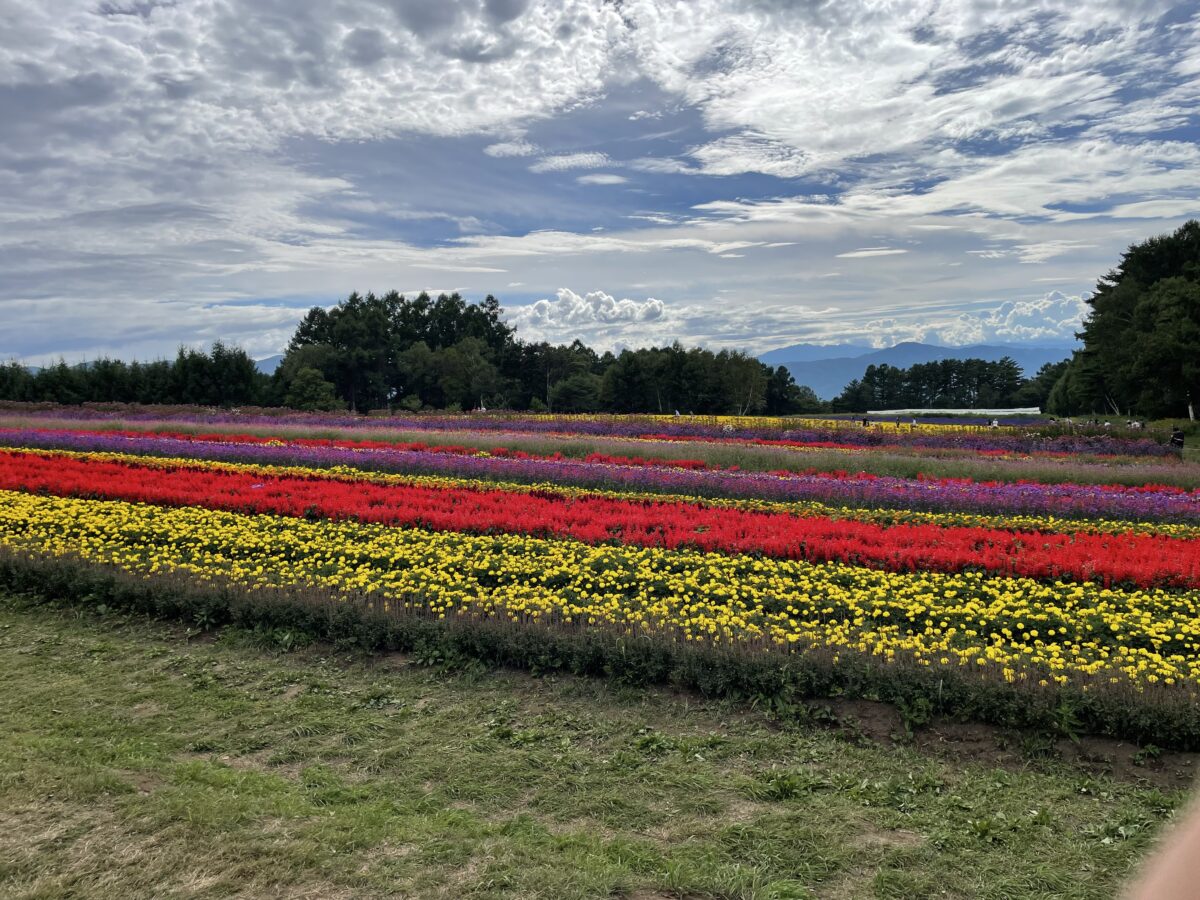 原村・YATZ GARDEN