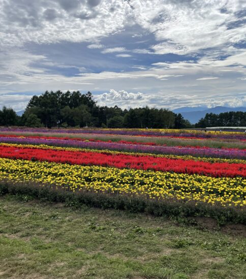 原村・YATZ GARDEN